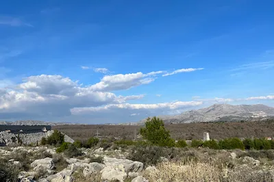 Vedo viewpoint