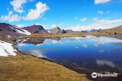 Trekkinca