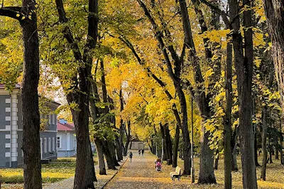 Sapieha Palace Park