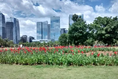 Parque do Povo