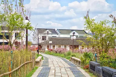 Finding My Own ‘Peach’ Paradise in Shanghai