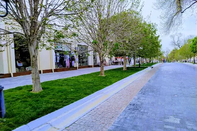 Park of Bibi Hanim Mausoleum