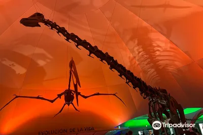 Museo de Historia Natural y Cultura Ambiental