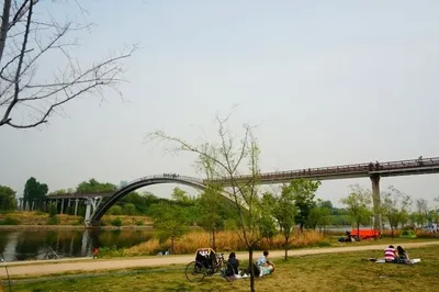 One Day Trip to Seoul's Han River Seonyudo Island and Hongdae