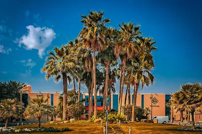 King Abdullah Walkways and Park
