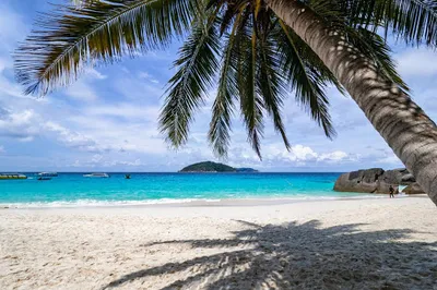 Phuket Inn Travel