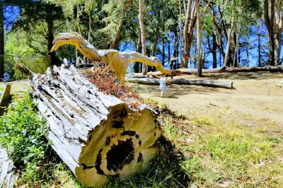 Golden Gate Park Disc Golf Course