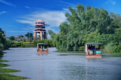 Central Wetland Park of the Greater Bay Area