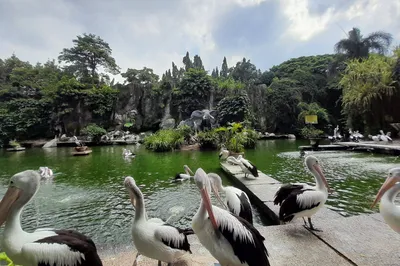 Taman Anggrek Ragunan