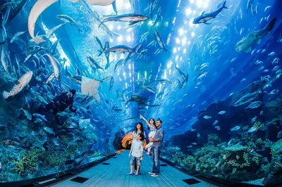 Dubai Three-Day Itinerary Guide