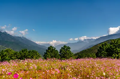花海