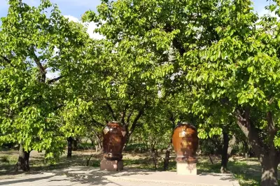 包头旅游攻略 | 体验一下夏天的大雁滩吧！