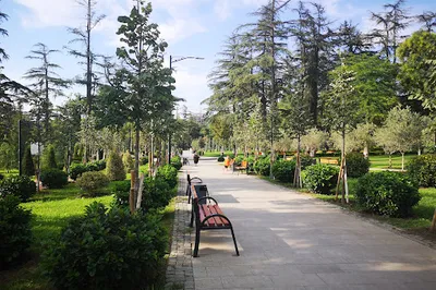 Veterans Park