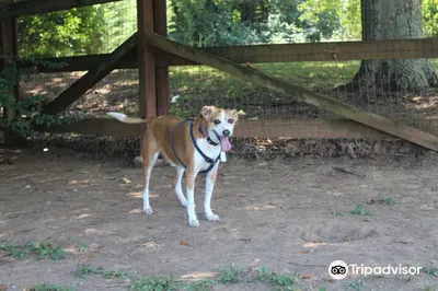 Two Rivers Dog Park