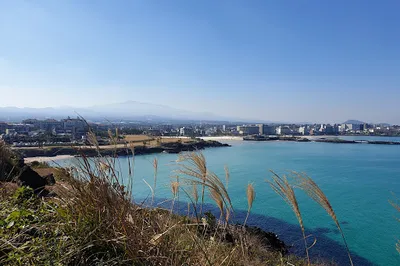 Saisan-gaku