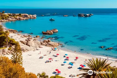 Clifton Beaches