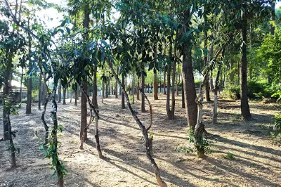 Se'adya Shoshani Garden