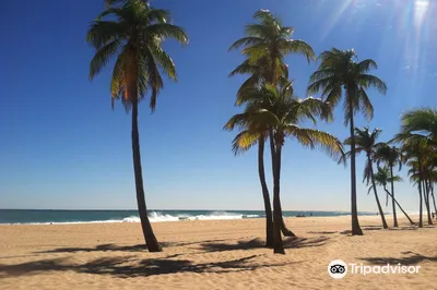 Las Olas Beach