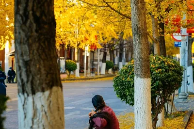 三文筆村