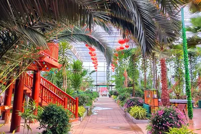 Hebei Travel: Notes on a Vacation at Jifa Kingdom’s Guangnianli Resort in Beidaihe (Photos)