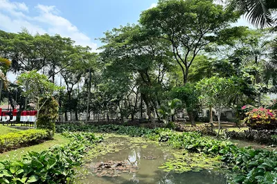 Tabebuya Park