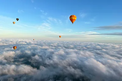 Global Ballooning - Melbourne, Yarra Valley & Mansfield