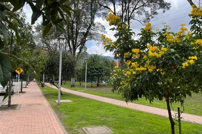 Virrey Park