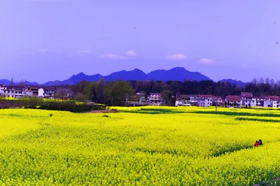 Heading into Spring – March 2019 Road Trip to Embrace Spring. Part 3: Xi'an and Hanzhong