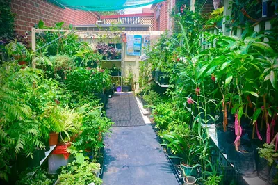 Sai Nursery