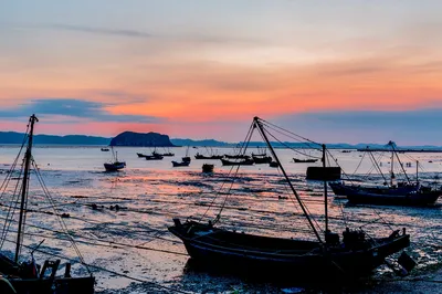 哈仙島走紅網絡，王老五帶遊客趕海，這裡竟能撿到海參！