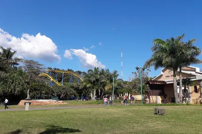 Bocaracá