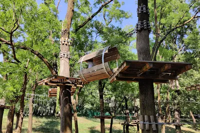 Parco Avventura Corvetto