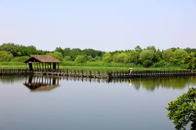 Bypassing Taihu Lake, Crossing the Yangtze River: A Weekend Food Tour in Taizhou.