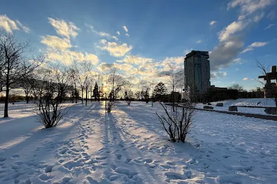 Coronation Park