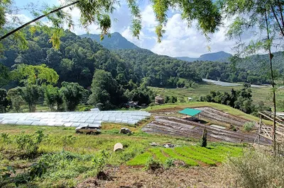 Wendy Tour & Trek Chiangmai