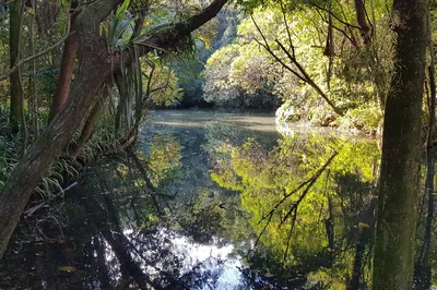 Alfredo Volpi Park