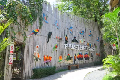 Phuket Bird Park