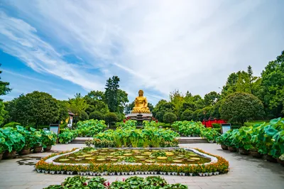 华岩寺